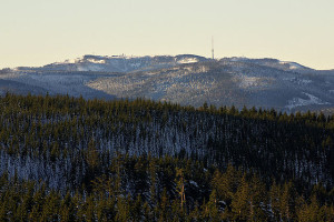 Blick auf die Hornisgrinde von Hohloh im Schwarzwald