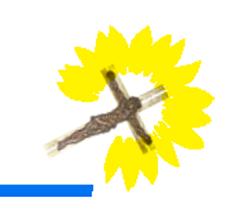 Sonnenblume fuer ein neues Grünen-Logo (Arbeitsversion)